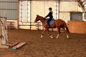 Bamboo Eleven